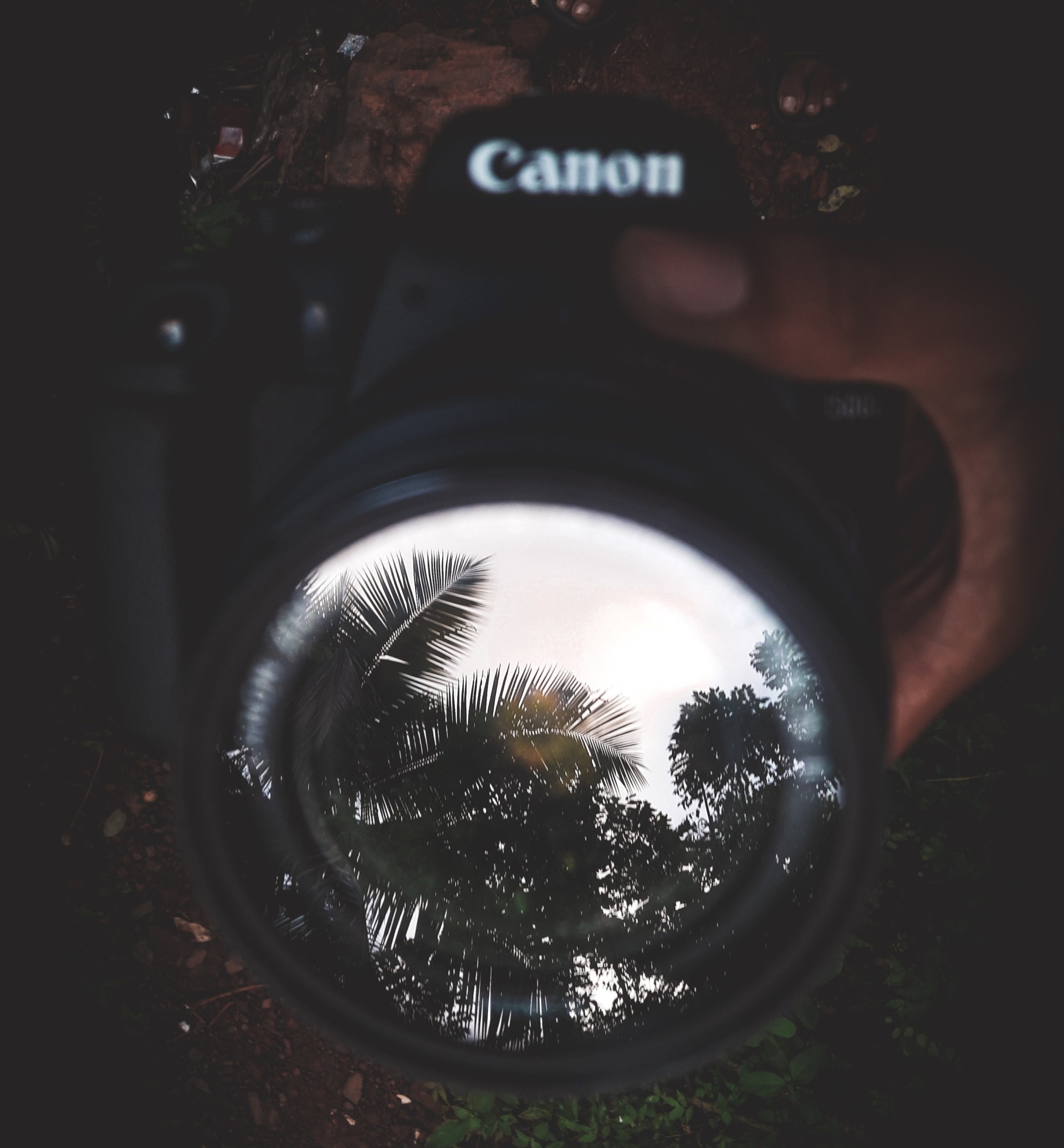 fotoaparát pro začátečníky