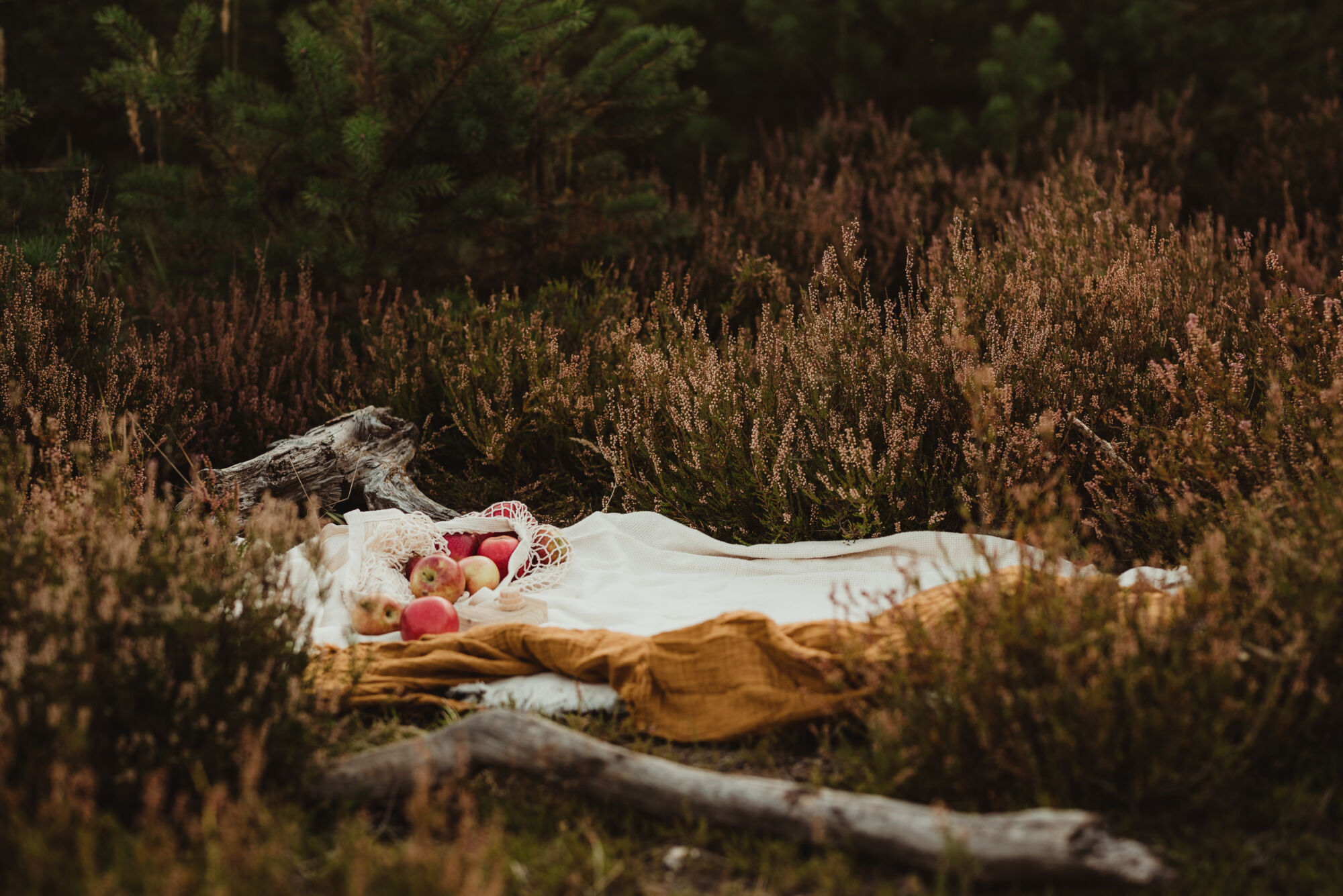 jak fotit přírodu - podzimní focení venku, dětská fotografie
