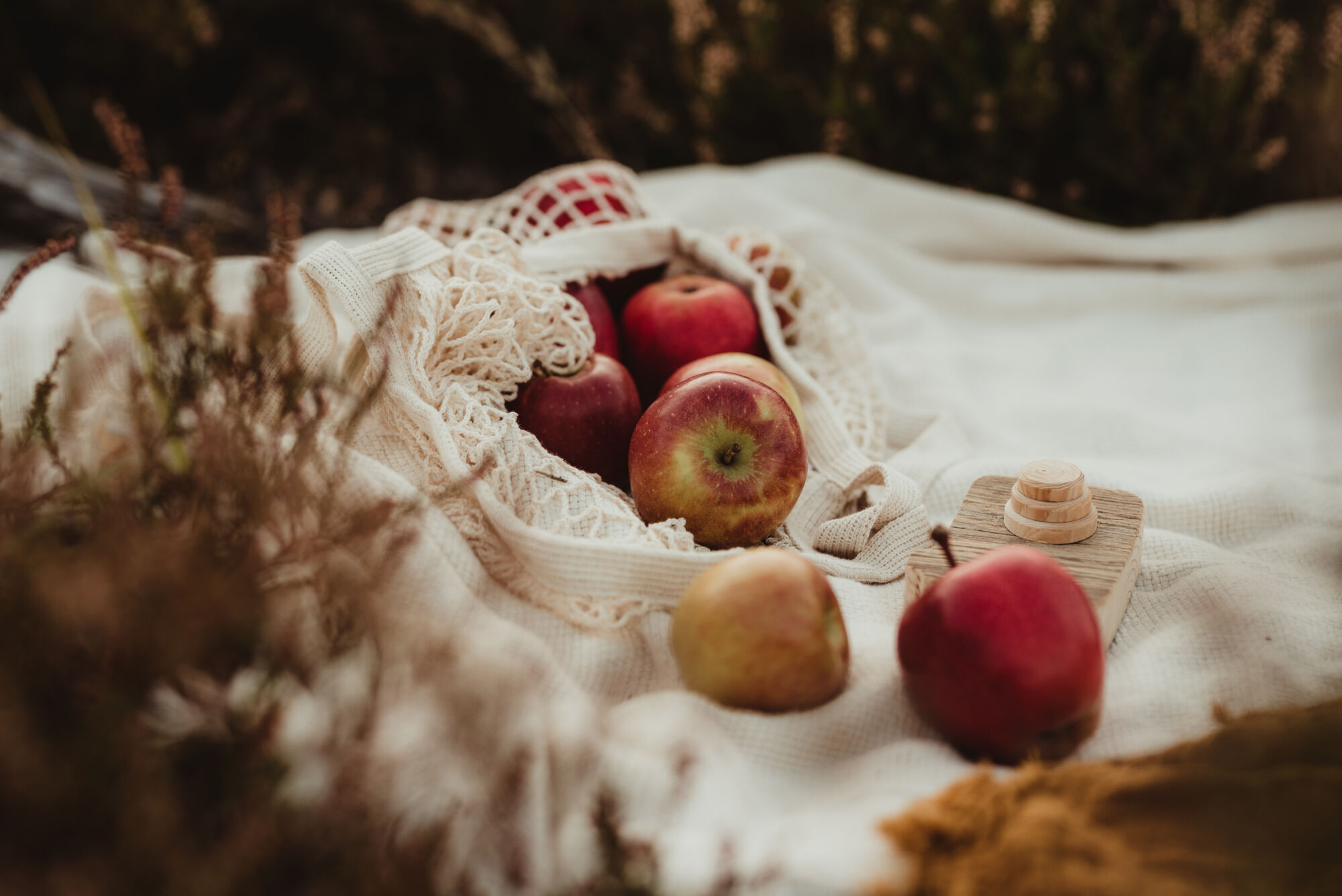 jak fotit přírodu - podzimní focení venku, dětská fotografie