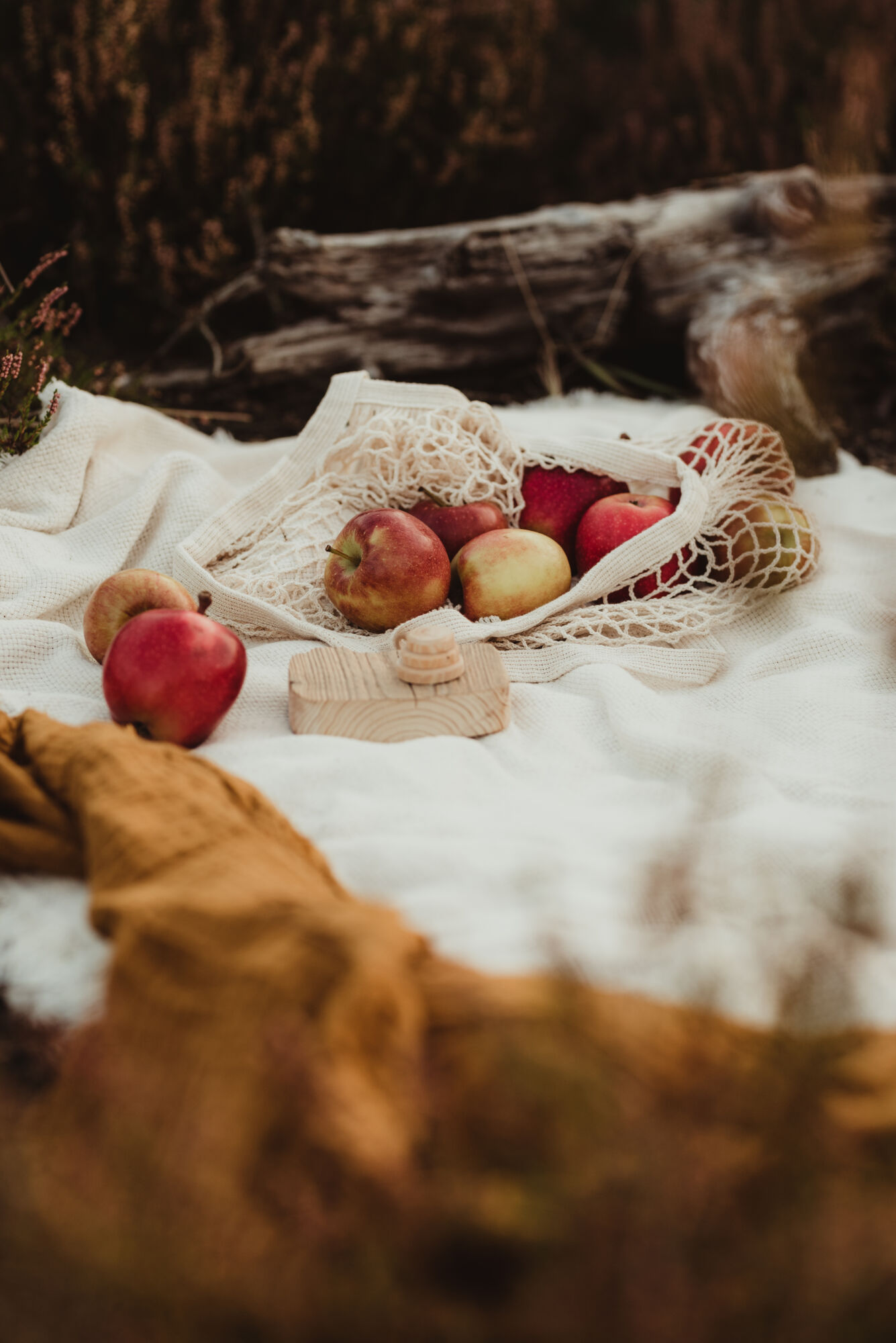 jak fotit přírodu - podzimní focení venku, dětská fotografie