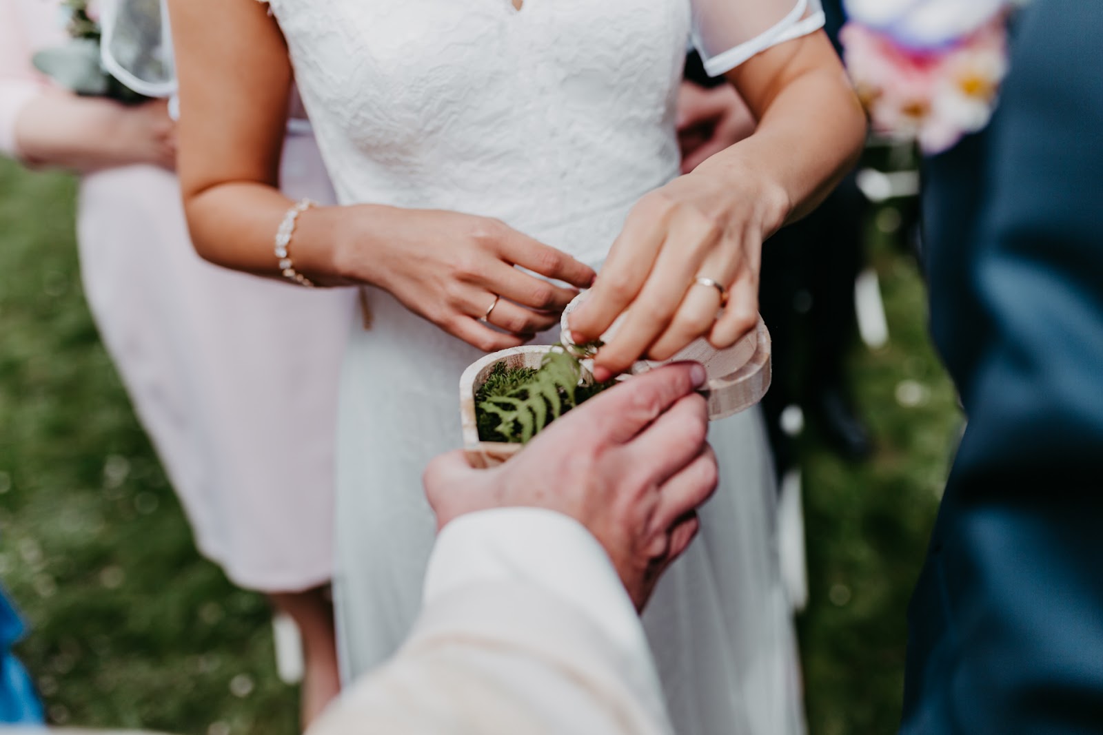 seo pro fotografy