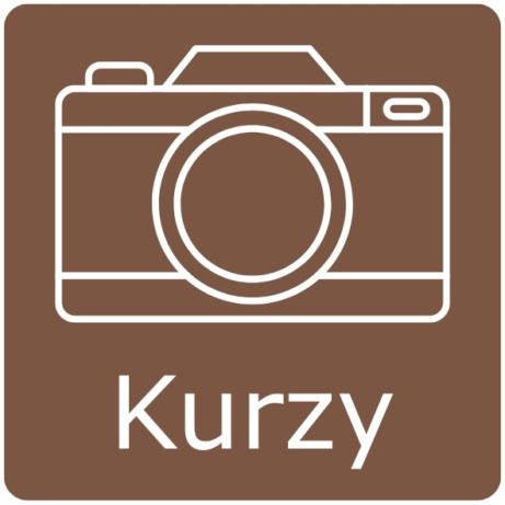 Kurz pro fotografy_ Jak fotit